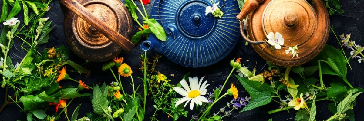 Karadeniz Mutfağında Kullanılan Şifalı Otlar